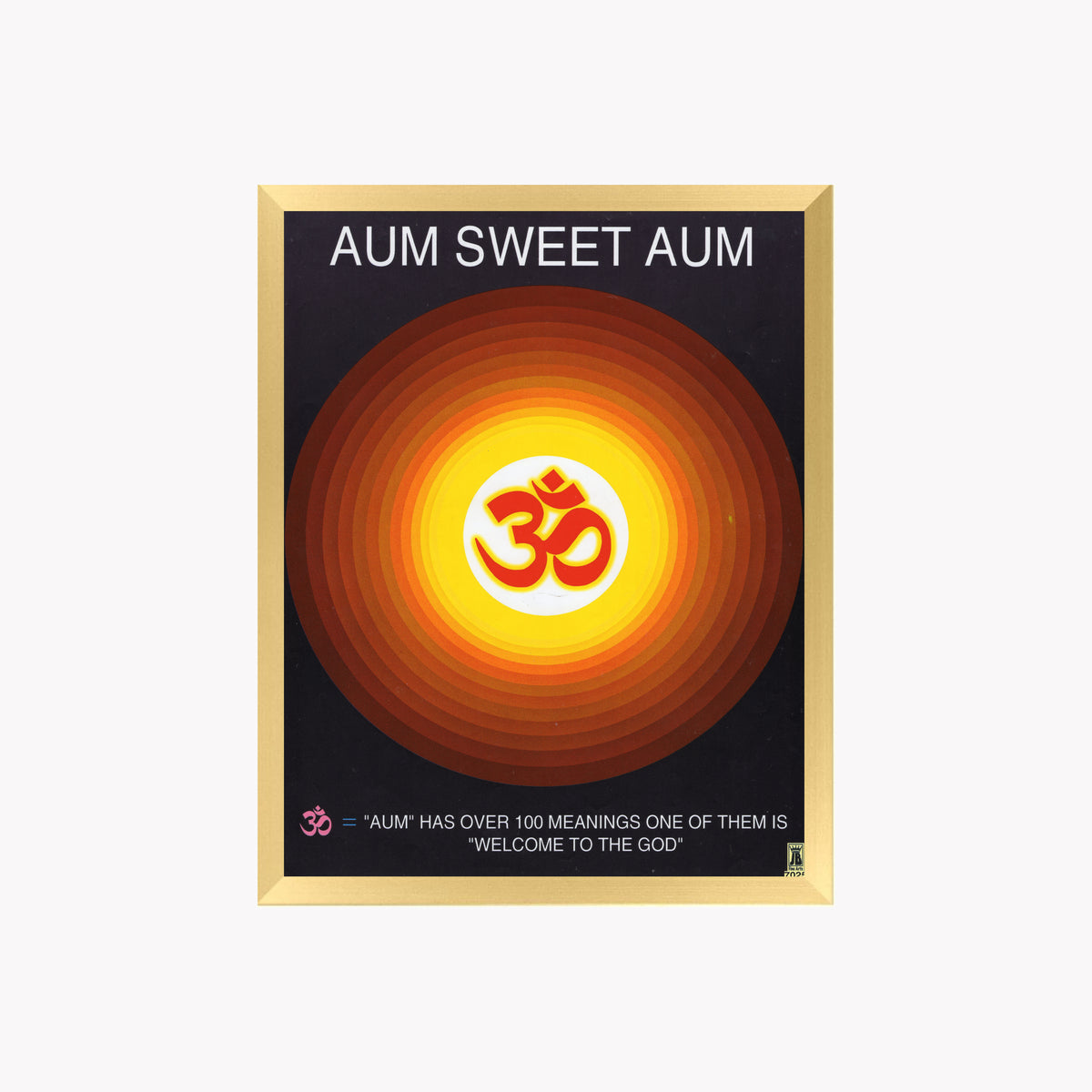OM wall art- OM photo frame